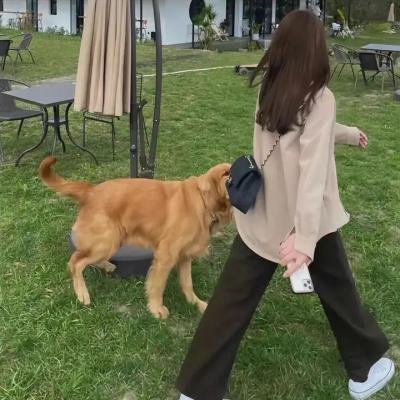 放牧人